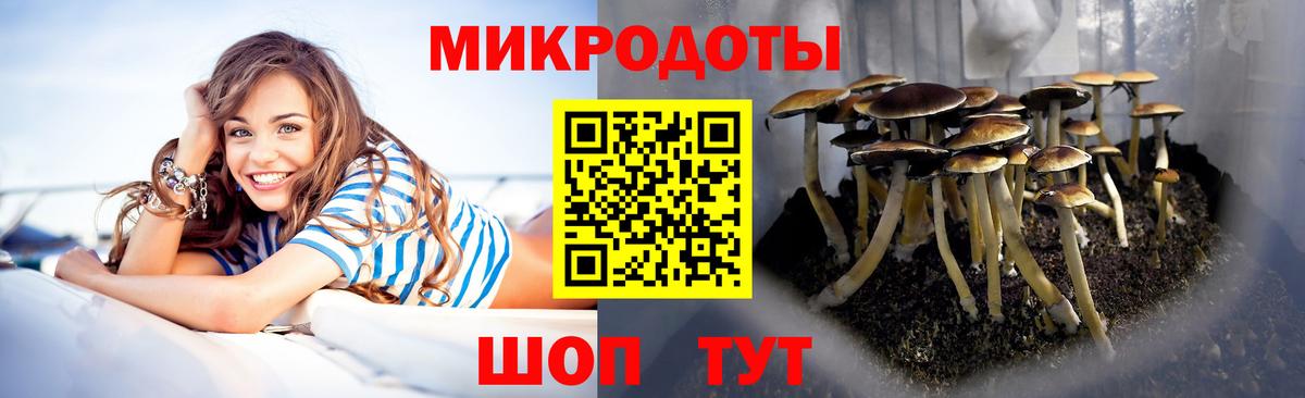 Владивосток  Галлюциногенные грибы ЛСД  Галлюциногенные грибы мицелий  Вход с VPN 